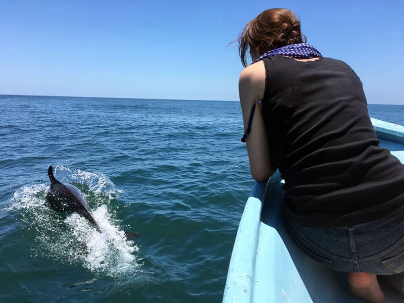Tour por la Bahía de Matanchen - Image 2